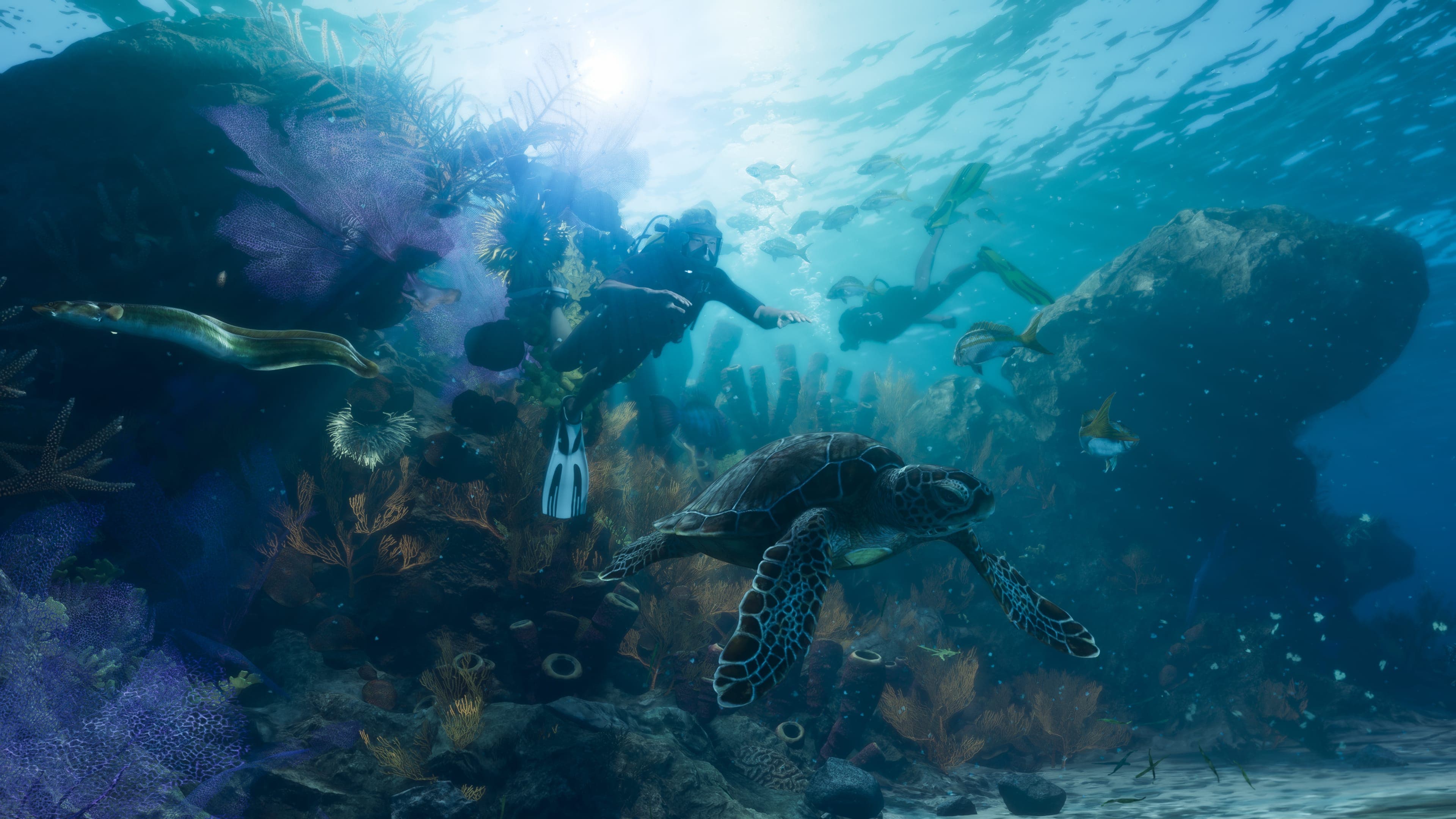 Underwater reef scene with a sea turtle, shoals of fish and the remains of a wreck